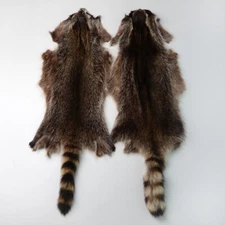 1X Genuine Raccoon Pelt Skin Fur Hide Tanned Leather DIY Craft Material Clothing