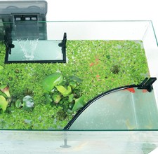 Aquarium Floating Plant Corral, Intercepting Plants from Black