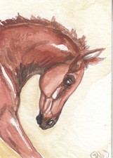 ACEO original Watercolor Art Card HORSE playful red Arab/PBA filly foal on cream