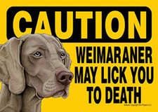 Weimaraner Dog Sign Wall Plaque Magnet Hook  Loop Fastener 5x7 - Caution Lic...