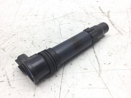 Bobine D'allumage Pour Polaris Sportsman 600 Et 700 - Compatible 4010364 / 4010785 / 4010696 - Pièce Remplacement ATV/Quad