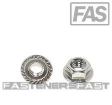 (25) M6 x 1.0 Stainless Steel Serrated Flange Nuts DIN6923 Nuts M6-1.0 A2