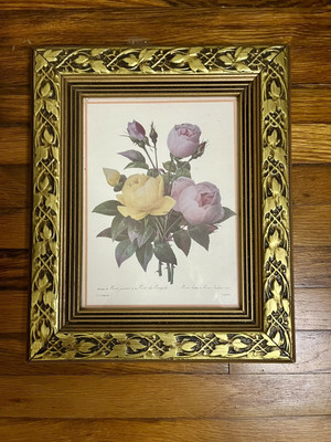 Vintage Pierre-Joseph Redoute' Wood Framed Botanical Print Roses
