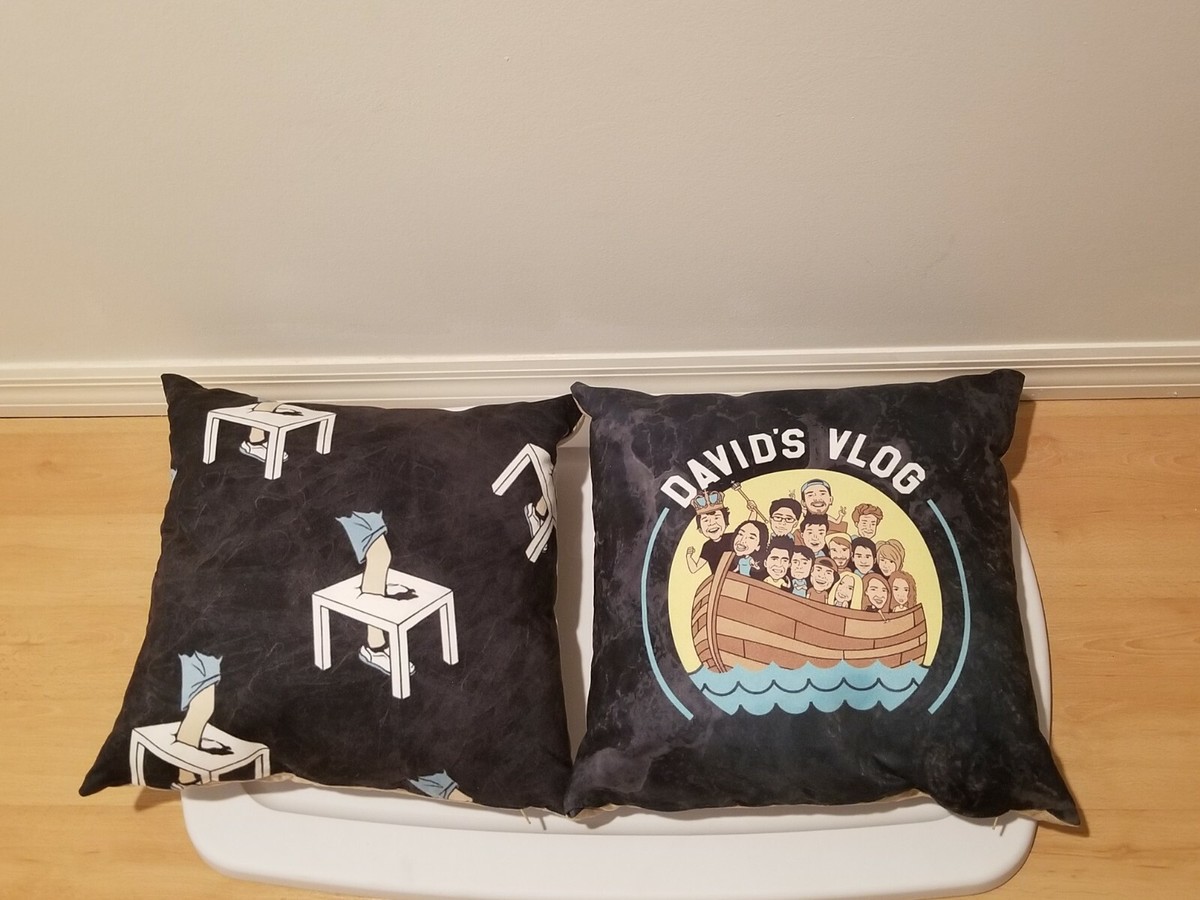 Set Of David Dobrik Famous Vlogger Pillows, Removable Cases