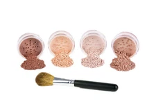 5pc BLUSH SET with BRUSH Mineral Makeup Kit Bare Face Sheer Powder Highlight