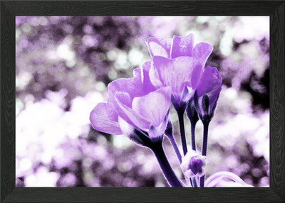 Lila Bokeh Blumen gerahmtes Wandbild Poster Leinwanddruck Bild