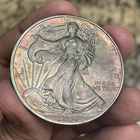 Toned 2004 ASE American Silver Eagle  Toned Both Side