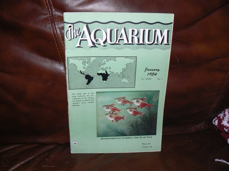 The Aquarium    by Innes Magazine January 1954 , V 23,  N 1, neat Mint Vintage