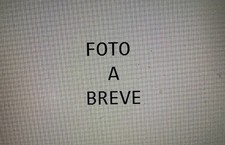 PERIPOLI GIULIETTA TINY 50 PRIMA SERIE RUOTA ANTERIORE POSTERIORE 10 12 CERCHI