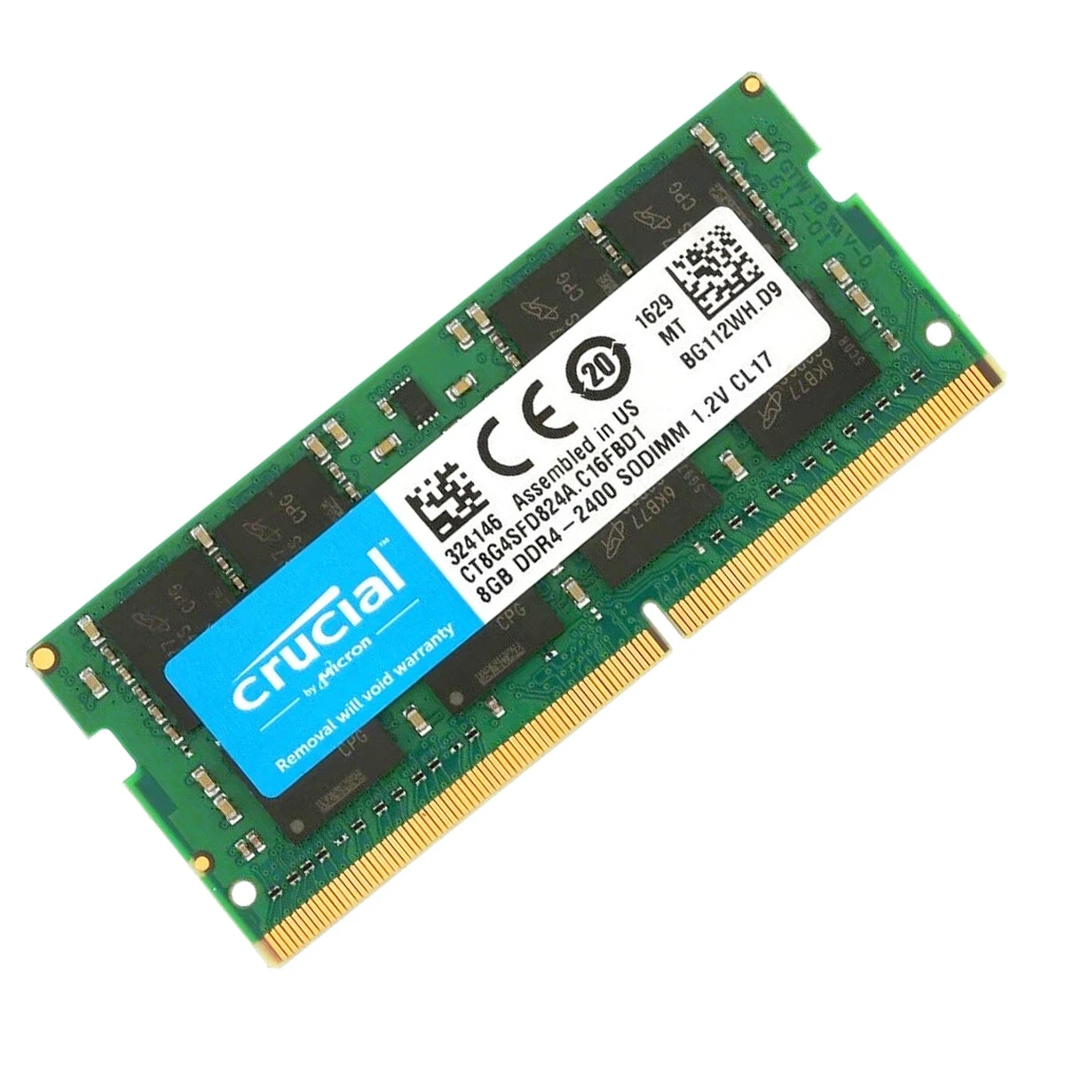 Ct8g4sfd824a clearance