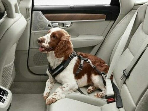 Arnés para perro XL para Volvo (P/N 31470403)