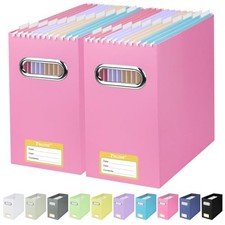 File Organizer Box, Cardboard File Folder Organizer with Pink 2PK Slim