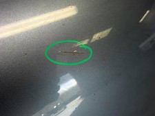 Capot Peugeot 807