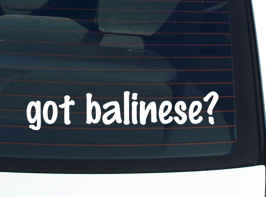 Got Balinese Funny Car Decal Bumper Sticker Vinyl Window Joke