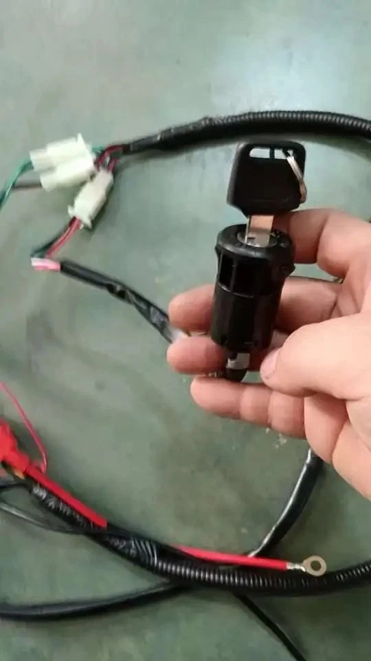 Zongshen CB250R - CB300RL Wireloom Harness - Image 4 of 4