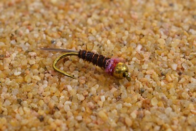 12 Flies  - Bead Head Frenchie Mayfly Nymph - Mustad Signature Fly Hook