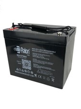 Raion Power 12V 75Ah SLA Battery For XYC DC85-12