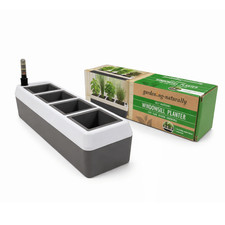 Kitchen Herb Pots Self Watering Windowsill Planter