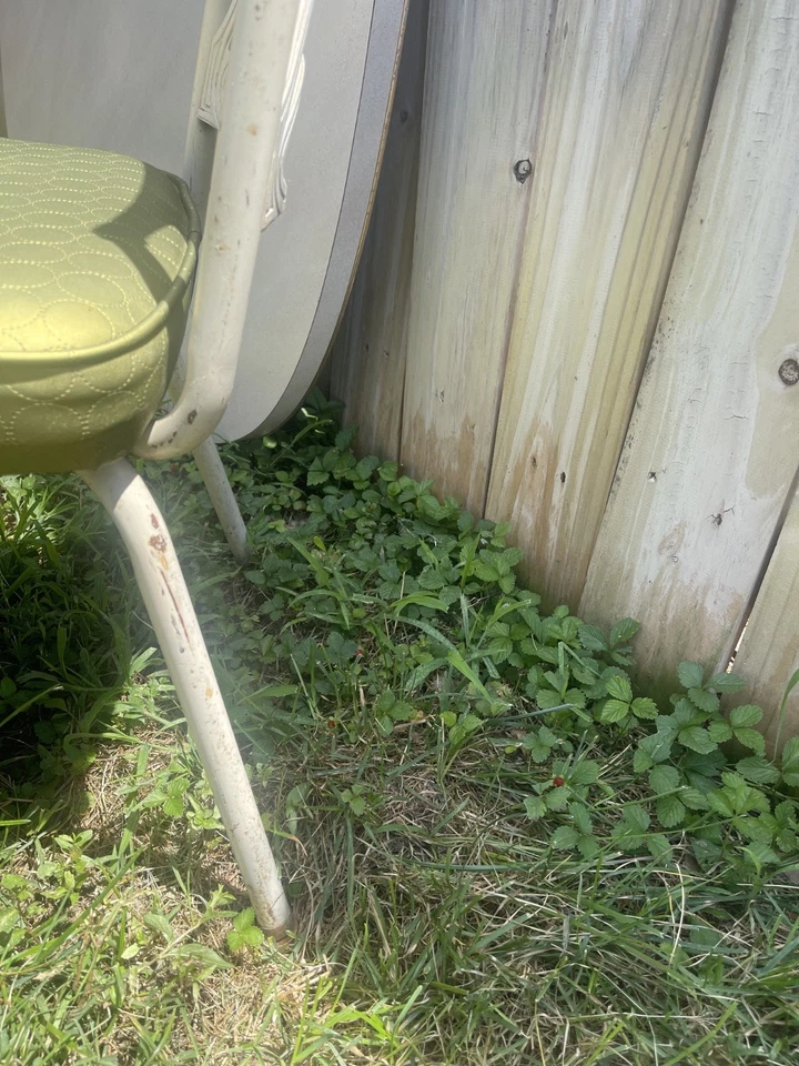 Vintage Meio Século Conjunto de Dinette Fórmica Redonda ***SOMENTE RETIRADA LOCAL*** - Imagem 4 de 4