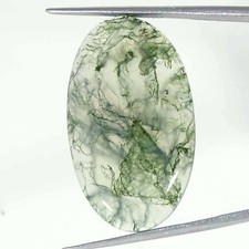 23.80Cts Natural Moss Agate Oval Cabochon loose Gemstone