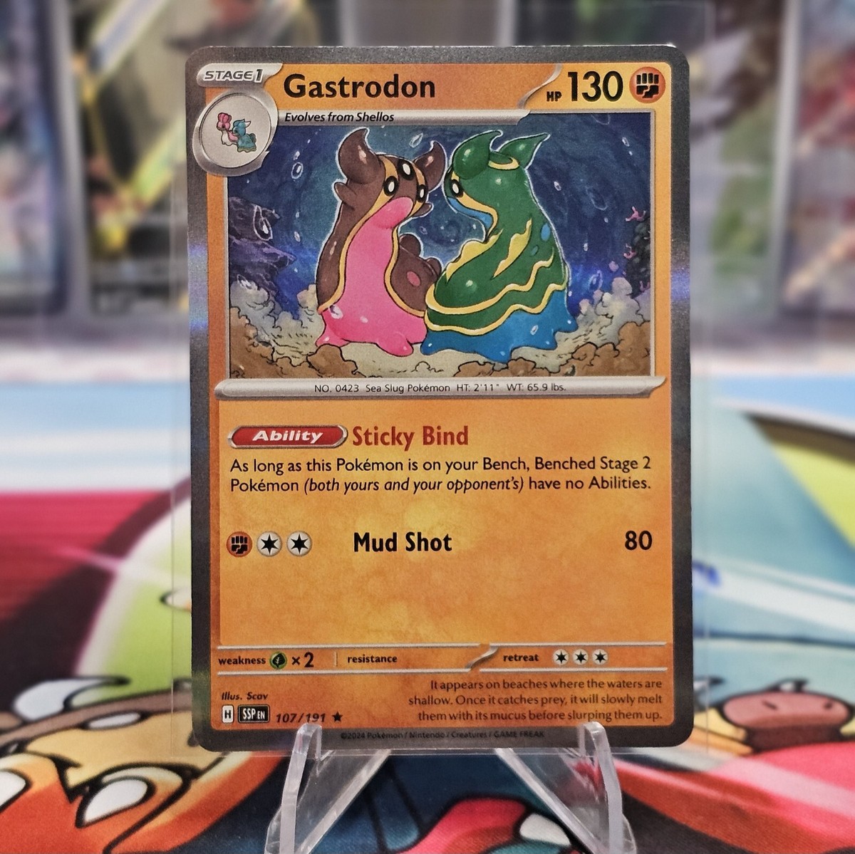 @tgs1111news Gastrodon 107/191 - Holo Rare - Surging Sparks - Pokemon TCG