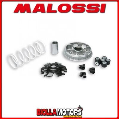 5114272 VARIOMATIK MALOSSI MALAGUTI BLOG 160 ie 4T LC euro 3 (04) MULTIVAR 2000