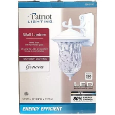 Patriot Lighting LED Outdoor Wall Lantern White/ Hammered Glass 10"x 17.75"x 11"