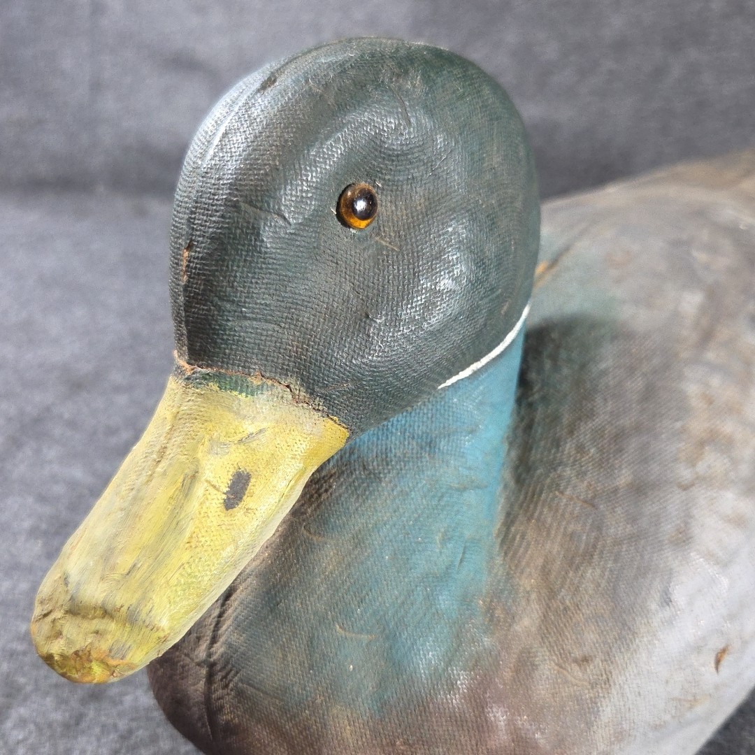J C Higgins Vintage Life-Like Mallard Duck Decoy with Glass Eyes for Hunting
