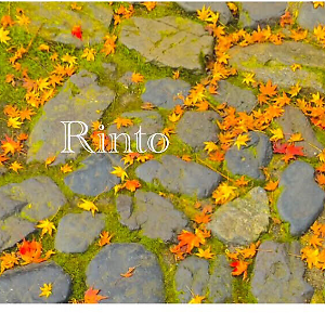 Rinto | eBay Stores