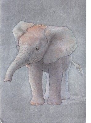 DUFEX POSTKARTE ELEFANT UNGELAUFEN GROSSFORMAT SEHR GUT POSTFRISCH