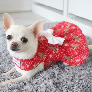 chihuahua clothes ebay