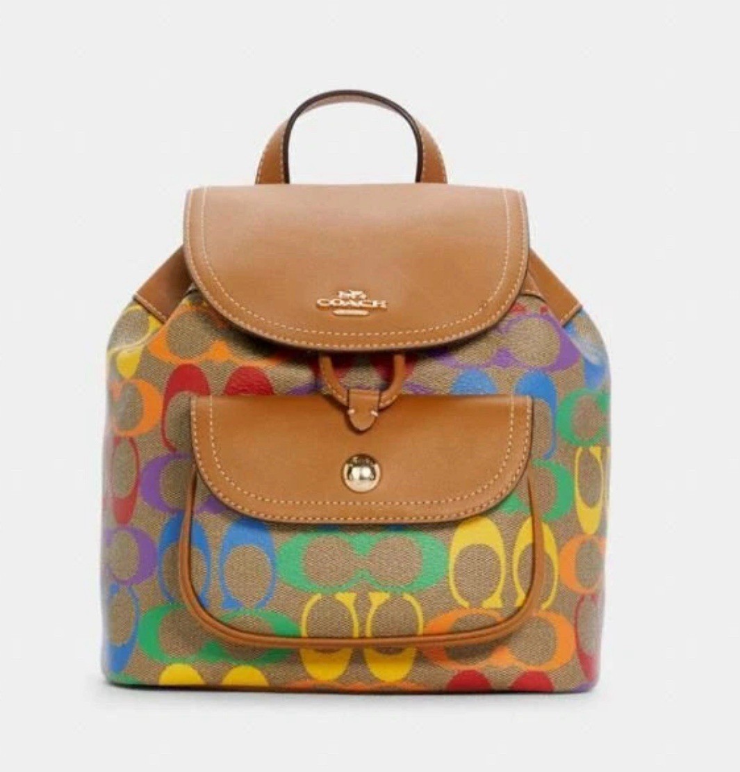 22 In Rainbow Signature Canvas In Light Saddle