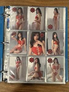 Lot of 220 Japanese Actress Model Gravure Idol Trading Card Binder from Japan