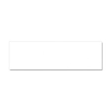 CafePress Car Magnet 10 x 3, Magnetic Bumper Sticker 1053377158