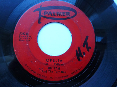 TIM TAM TURN ONS 45 'WAIT A MINUTE' 'OPELIA' USA PALMER MONSTER 1965 SURF MOD V-