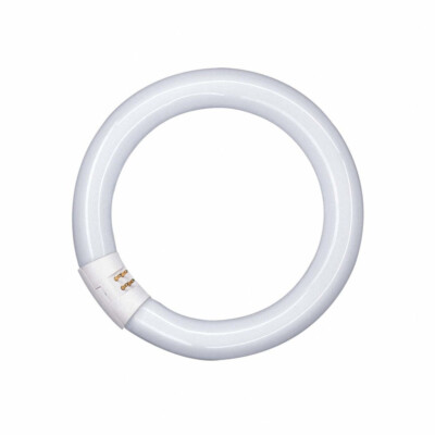 Osram Leuchtstoffröhre T9 L 22W 865 C G10q Ringfrom Lumilux Daylight 22W/11-765