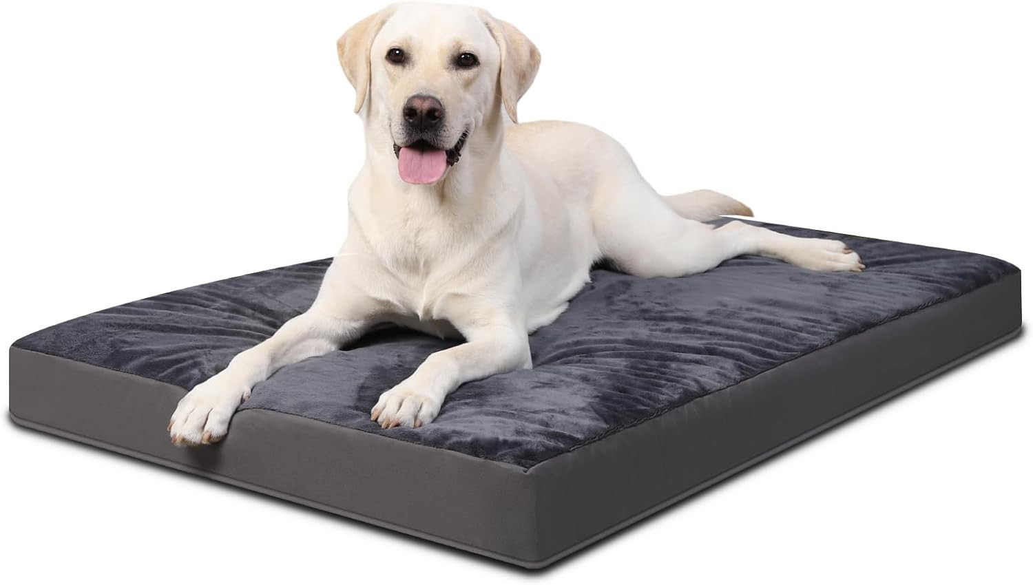 Cuccia Cane Taglia Grande Lavabile Ortopedica - Offerta Comfort