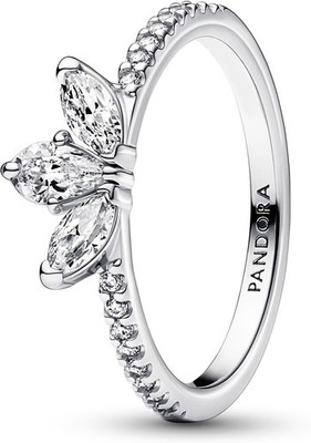 Pandora Funkelndes Herbarium Cluster Ring 192392C01 Damenring