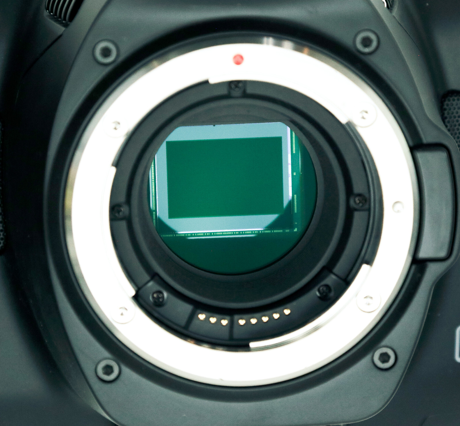 Blackmagic Pocket Cinema Camera 6K G2 (EF Mount)