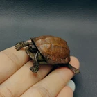 Lifelike Bronze Turtle Statue,Casting Copper Metal Artwork Collection gift