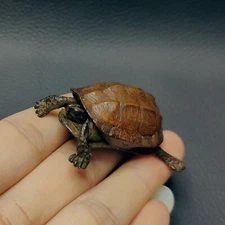 Lifelike Bronze Turtle Statue,Casting Copper Metal Artwork Collection gift