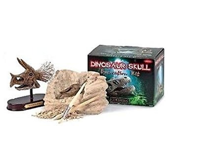 TRICERATOPS skull Excavation science kit fossil dig DINOSAUR kids display 6.5''