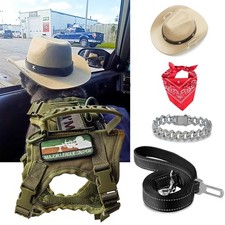 Tactical Cat Harness and Leash for Walking Escape Proof, Adjustable Cat Vest ...