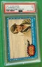 Topps 1977 Star Wars Card #26 A Horrified Luke Sees His Fami