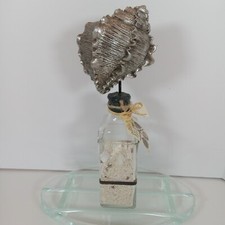 NWT Sea Life Bottle w/Sand  Conch Shell Ornament Coastal Decor Beachy Sea Life
