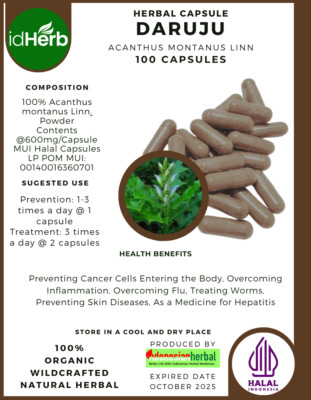 [idHerb] CAPSULES DARUJU ACANTHUS MONTANUS LINN NATURAL ORGANIC HERBAL HERBS
