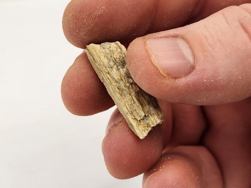Pieza de madera petrificada de ágata - Oregón - Mioceno (?) - Fósil - Imagen 2 de 4