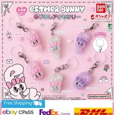 Esther Bunny Sign Accessories Set of 6Complete / Capsule Toy / NEW JP