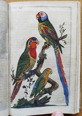 Wilhelm Naturgeschichte Vögel 2 Bände 88 kolorierte Tafeln - 1834 - Bild 1 von 4