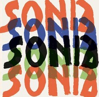 Sonia Delaunay | Rachel Silveri (U. A.) | Living Art | Buch | Englisch | 2024